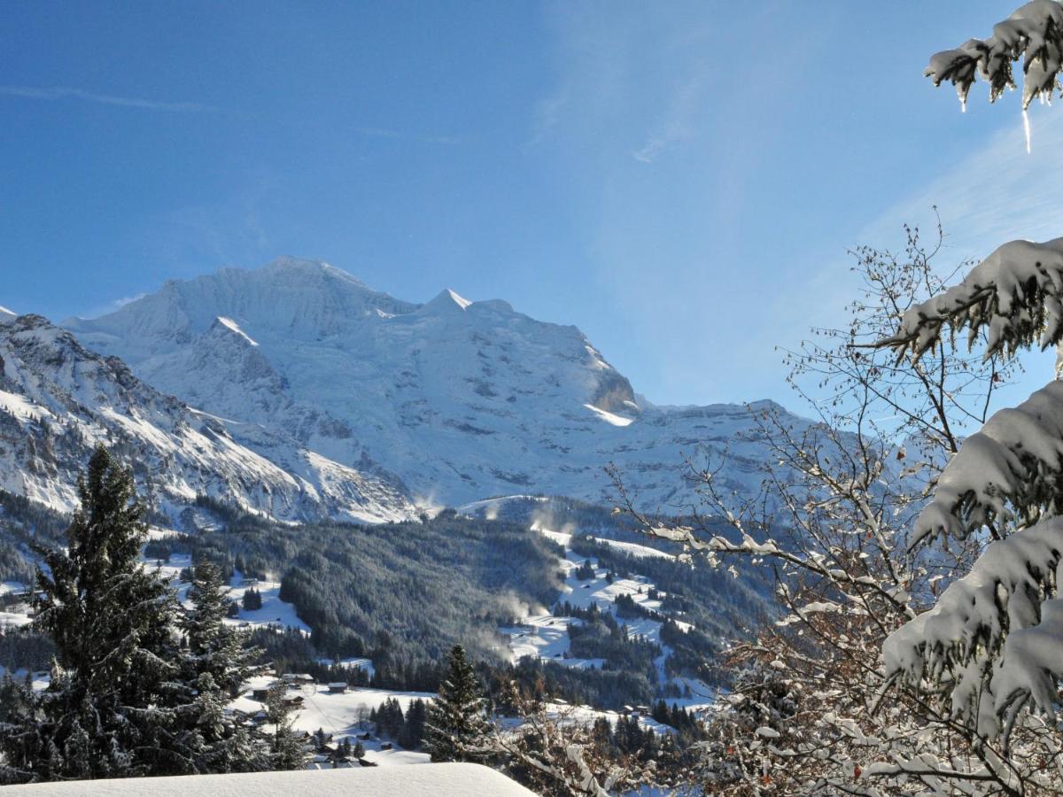 Apartment Rustica By Interhome Wengen Kültér fotó